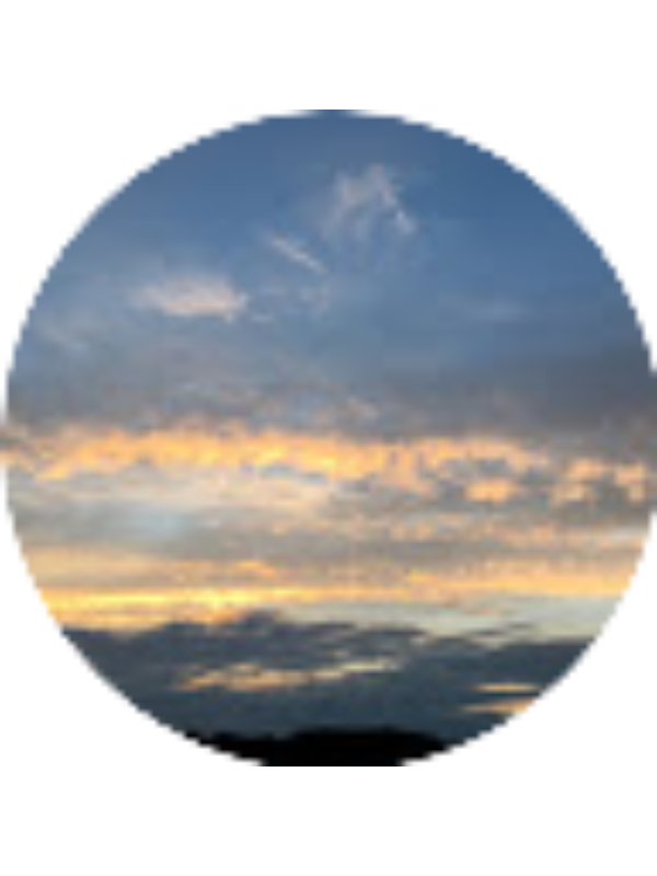 Photo of Neve Trigo_22