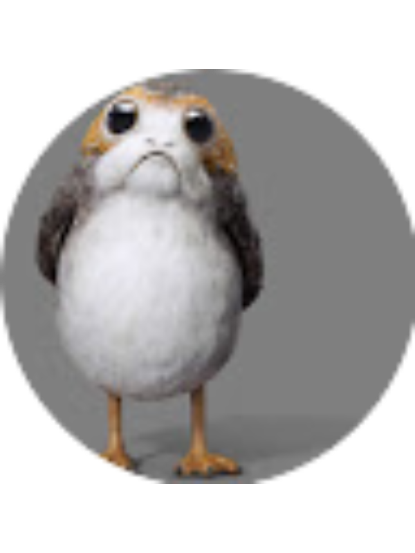 Photo of Annika Erickson (student)