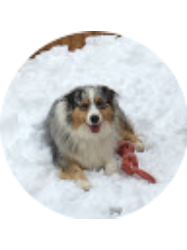 Photo of Ally Aycock