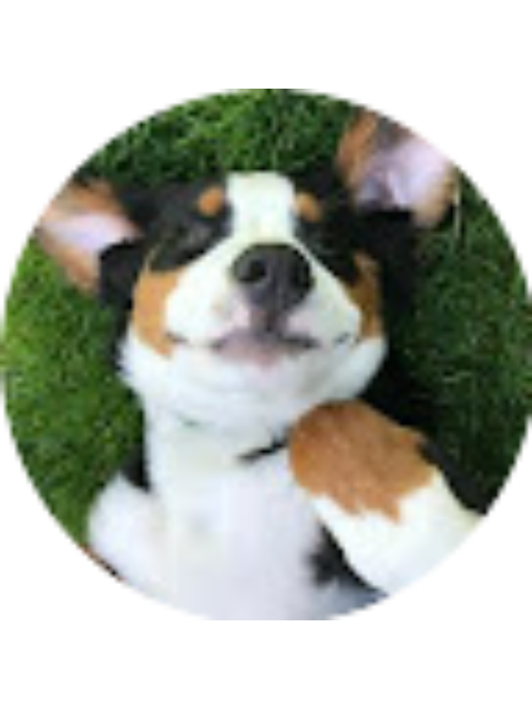 Photo of Гайни Толепбаева