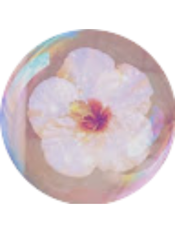 Photo of Aysun Cihangir