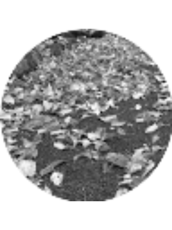 Photo of Krista Everling