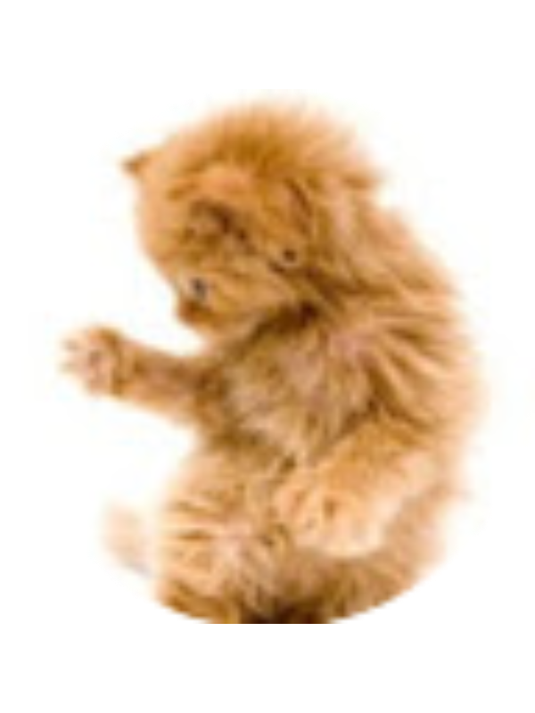 Photo of Alicia Volm