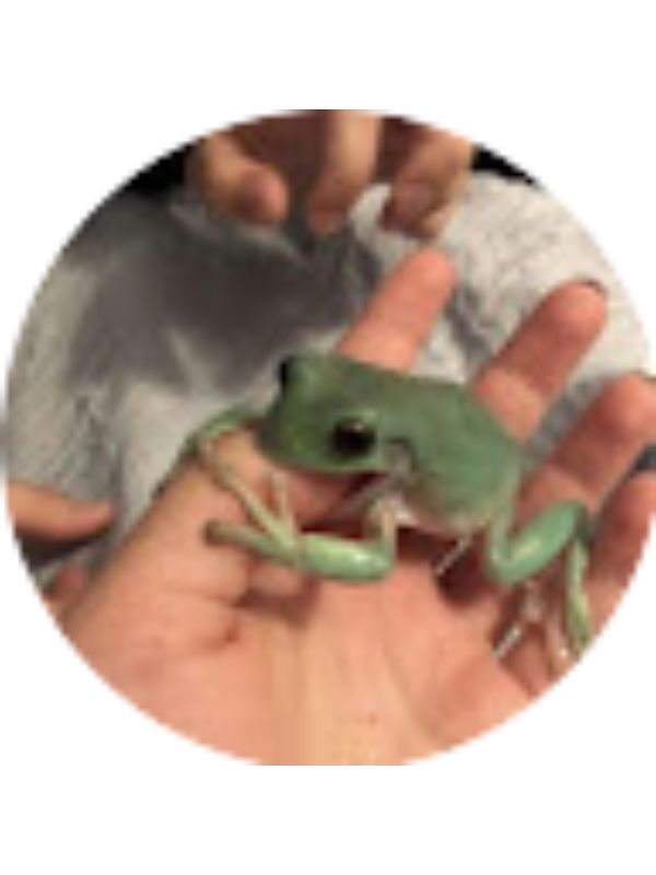 Photo of Соня Юг