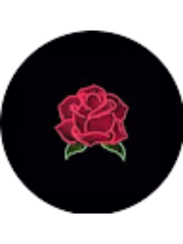 Photo of Alisson Narvaez