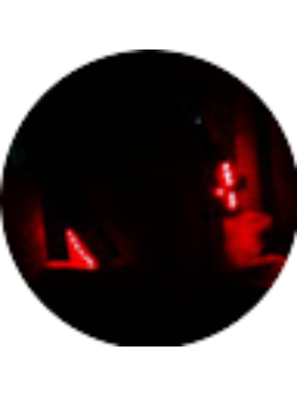 Photo of Brock Schildroth