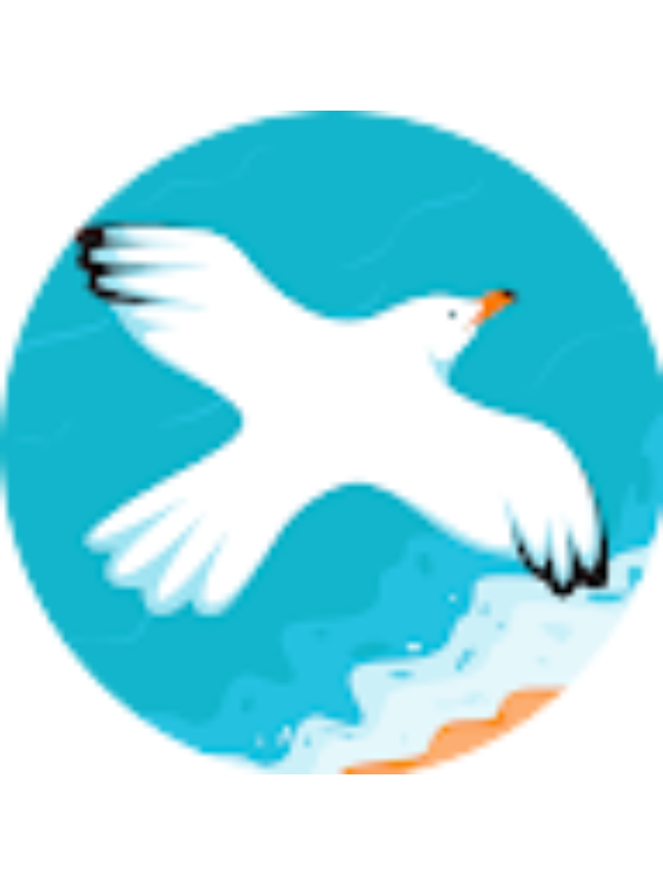 Photo of Bolortoli Batsuuri