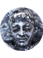 Picture of Akash Palihawadana