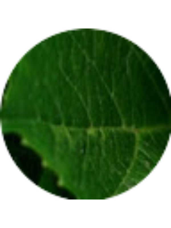 Photo of claireboz2005