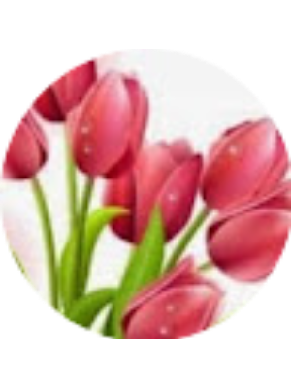 Photo of Ιωάννα Νασιοπούλου