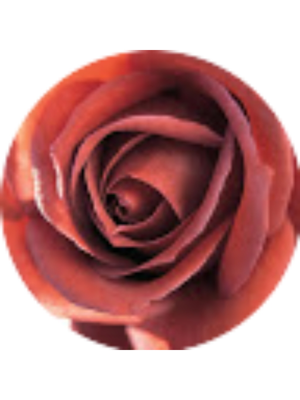 Photo of Katerina Antoniou