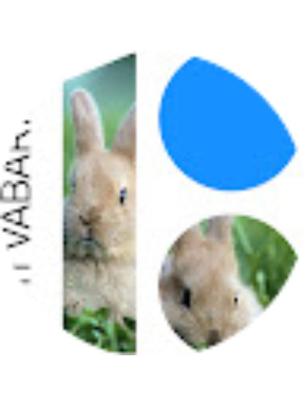 Photo of Jänkukesed Meelespea