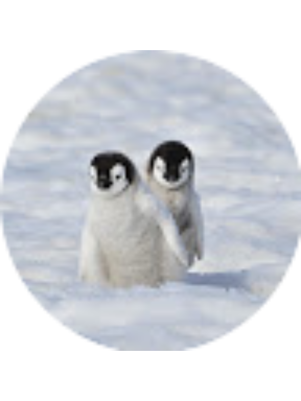 Photo of Olivia Gauthier