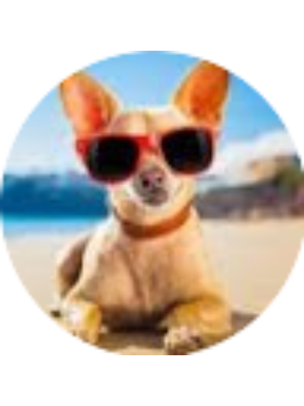 Photo of Sethumadhav Ravuri