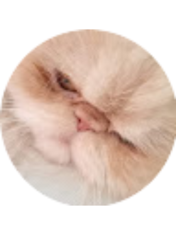 Photo of mirceateodorlungu