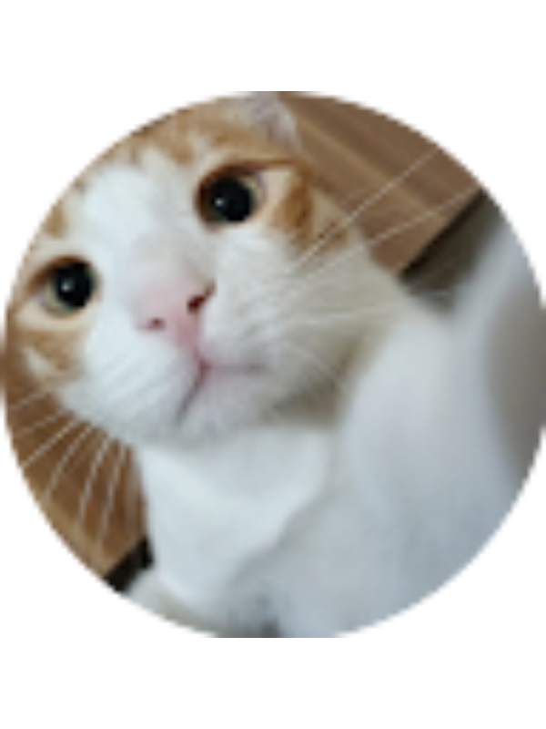 Photo of B&uuml;şra Toprak