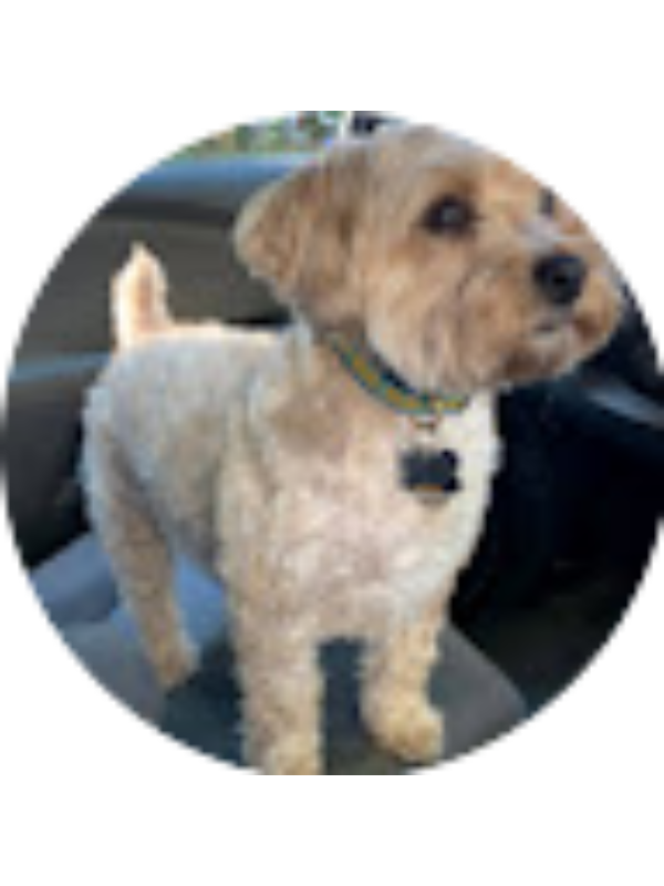 Photo of Eileen Williams