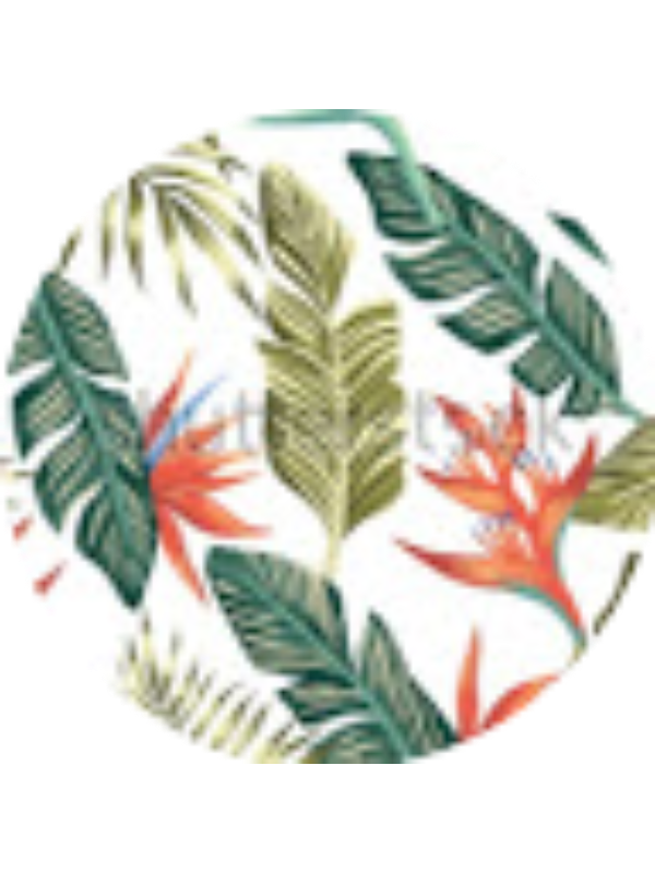 Photo of Janette Jimenez