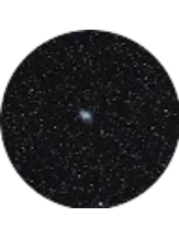 Photo of Vanessa Alvarado