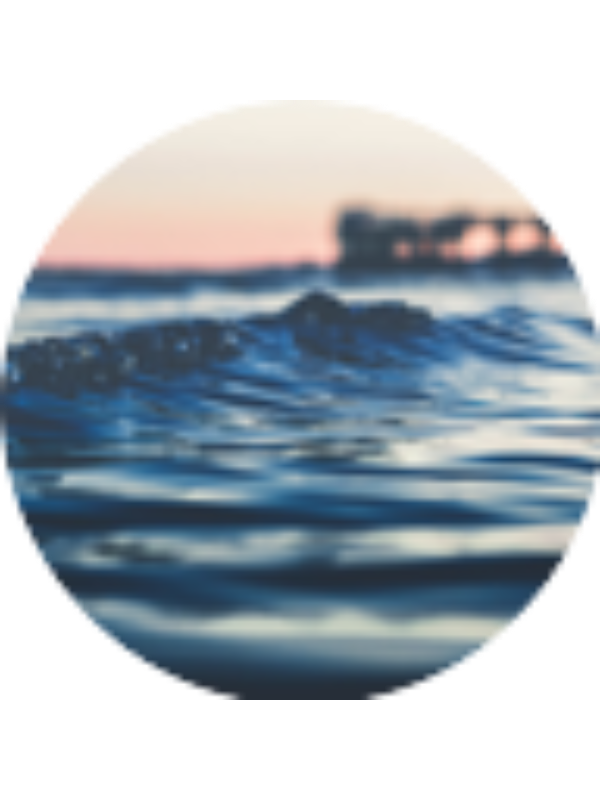 Photo of Reagan Cram