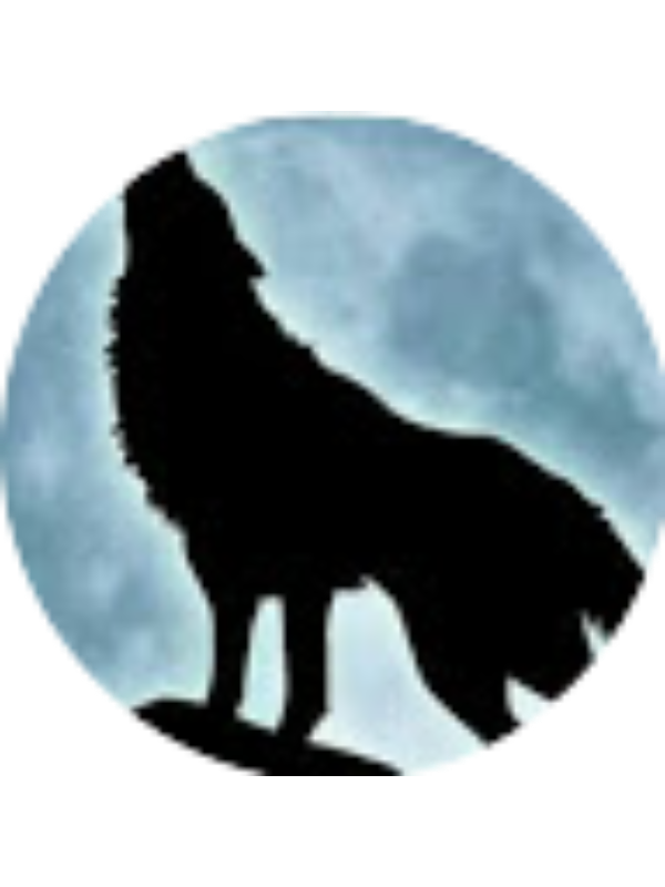 Photo of Nurettin Eren BULUT