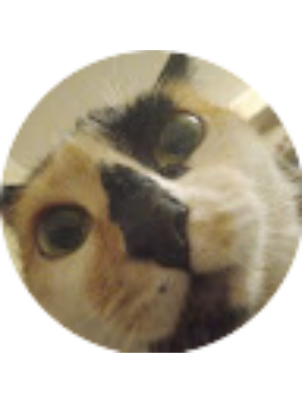 Photo of Полина Донскова