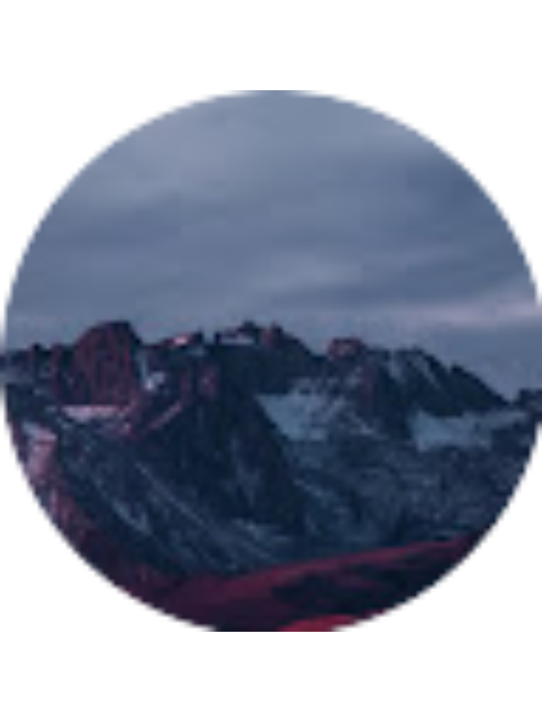 Photo of бисквит 