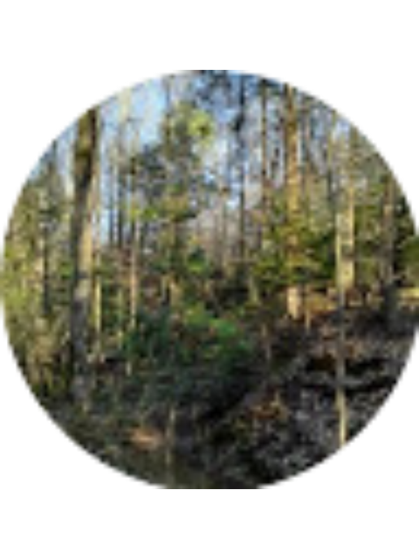 Photo of Spence Brandon