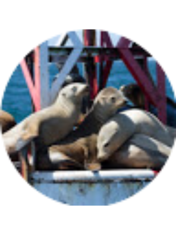 Photo of Elizabeth Barganz