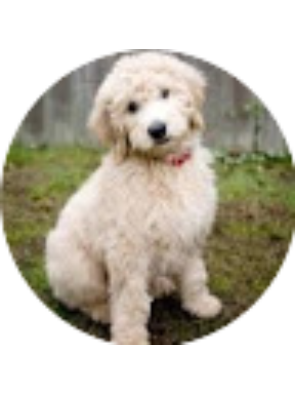 Photo of Claire Brosius