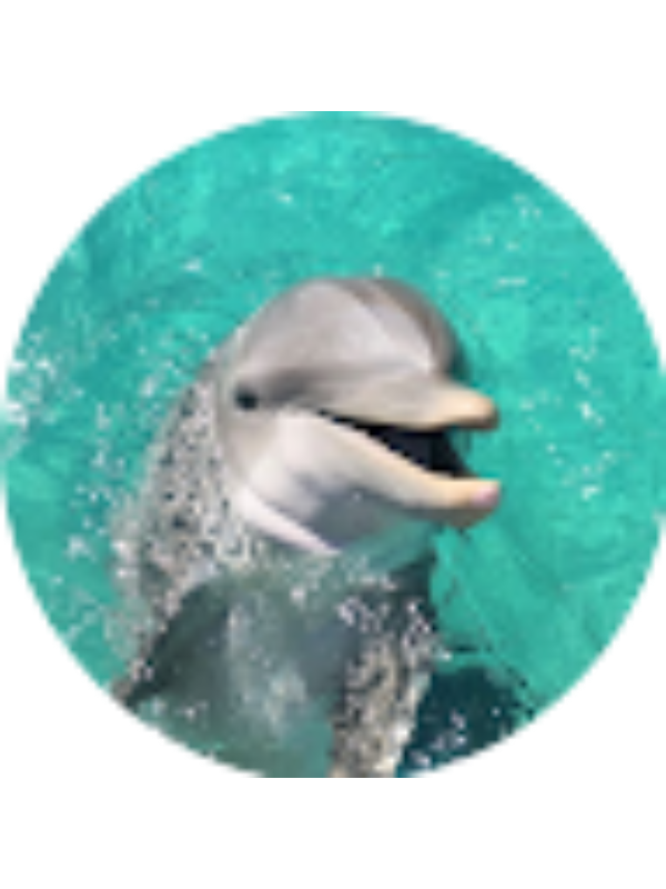 Photo of Kristen Makuala