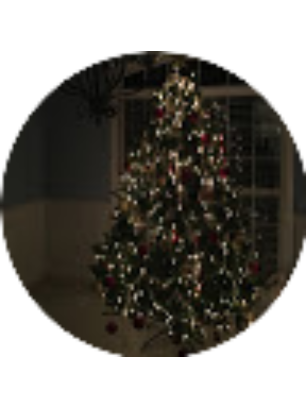 Photo of Nicholas Pylypiw