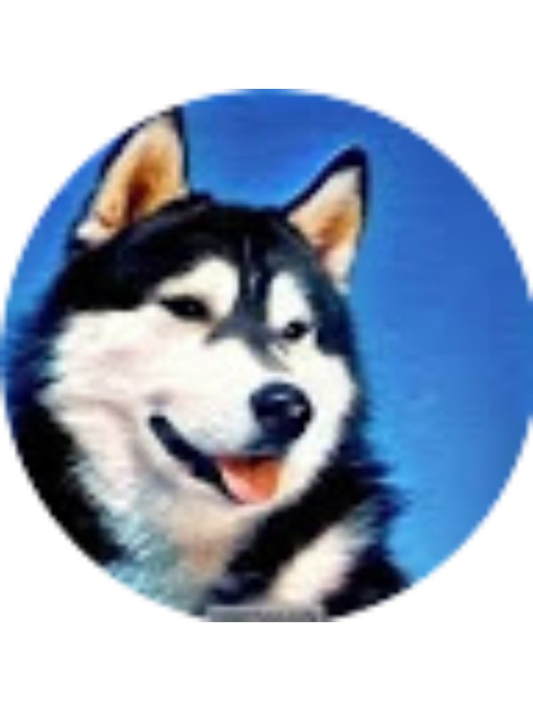 Photo of Ashton Stone