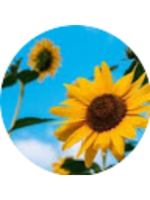 Photo of Layla Lovan