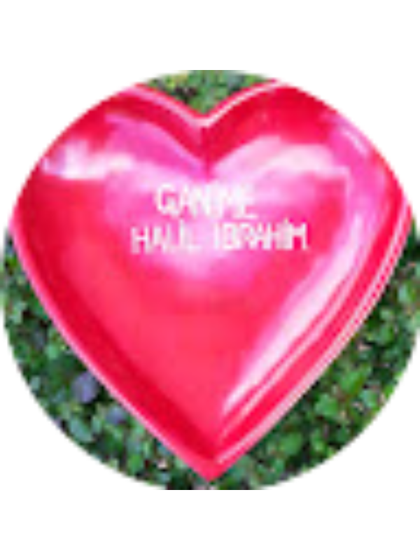 Photo of Ganime Germiyan OKUR