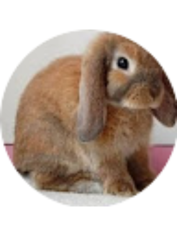 Photo of Taylor Stansburry