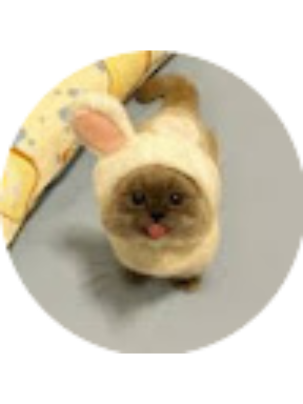 Photo of Nathan Quach