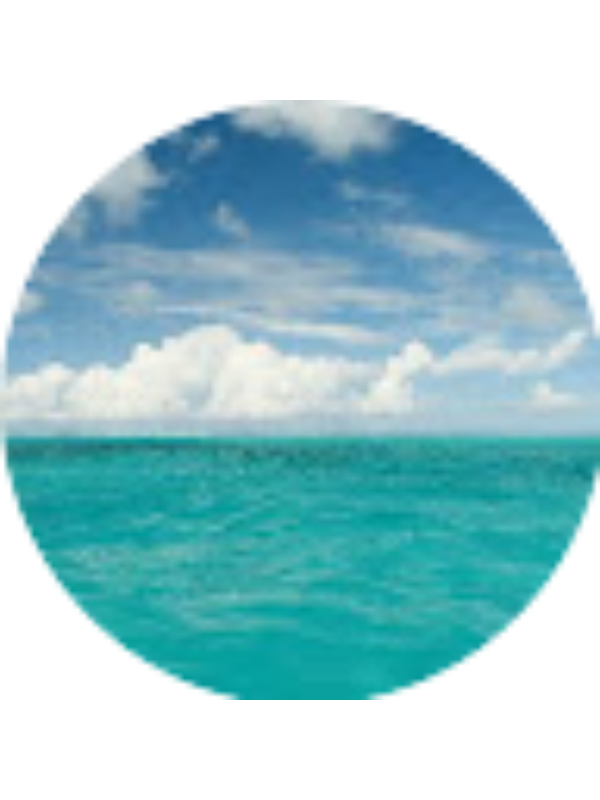 Photo of Naim Nabila