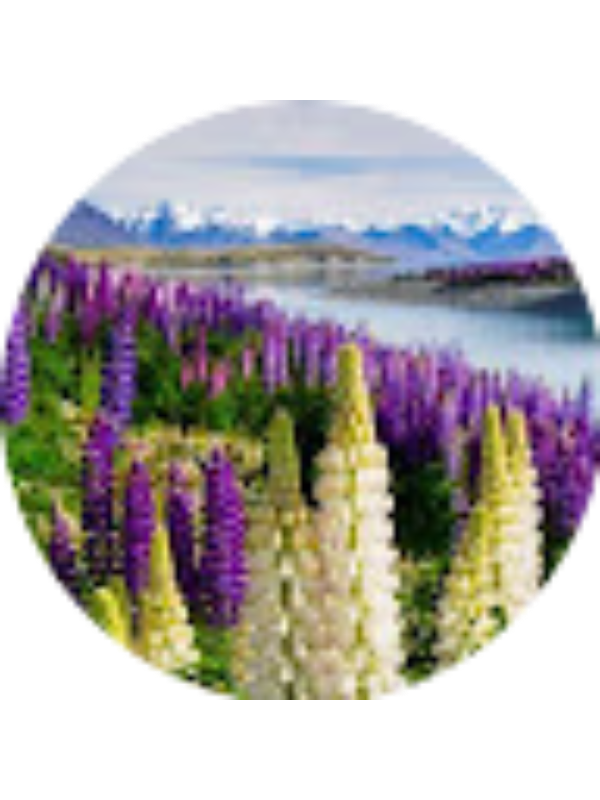 Photo of archeologia1983