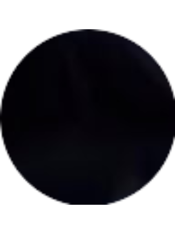 Photo of Loredana Popusoi