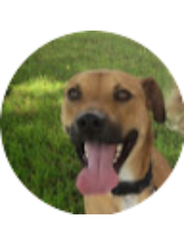 Photo of Zia Roberts