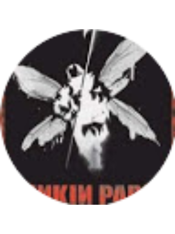 Photo of Cintia De la llana