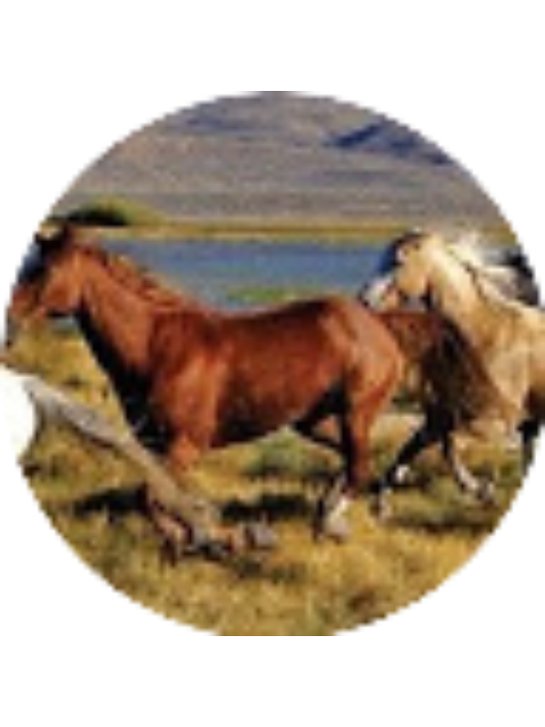 Photo of Cassidy Carr