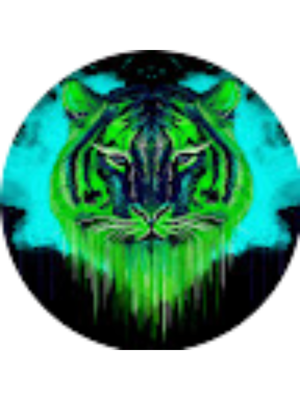 Photo of Porfireanu Robert