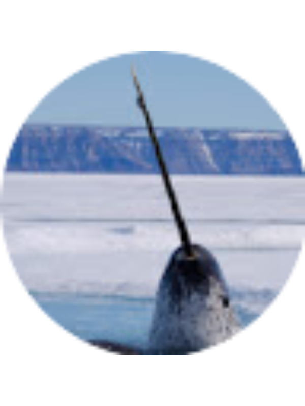 Photo of Michael Hardy-Elwell