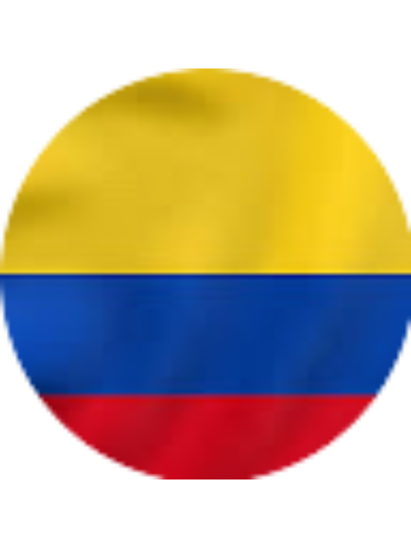 Photo of GABRIEL ENRIQUE VILLAREAL SOTO