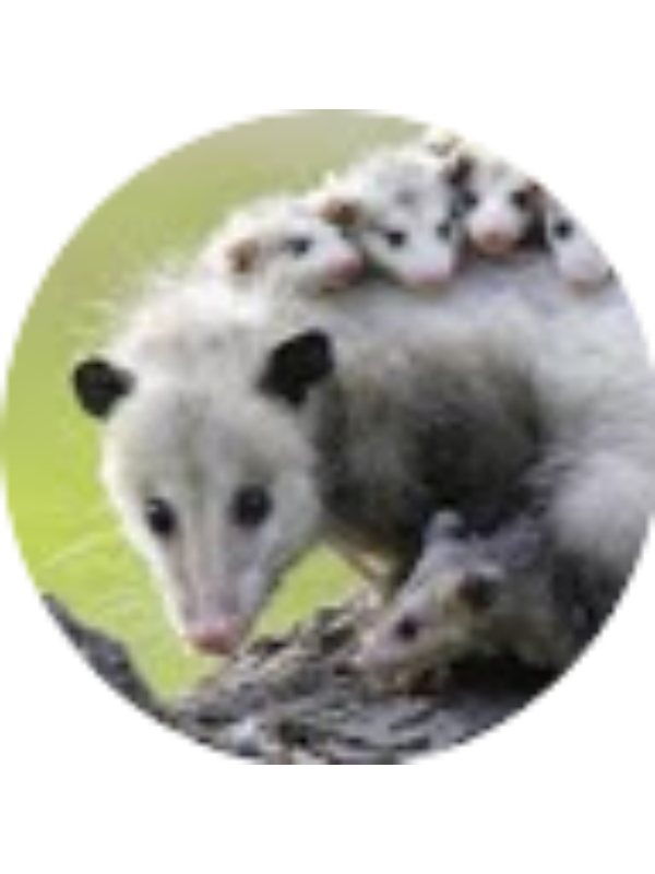 Photo of Myles Fisher _ Student - FuquayVarinaH