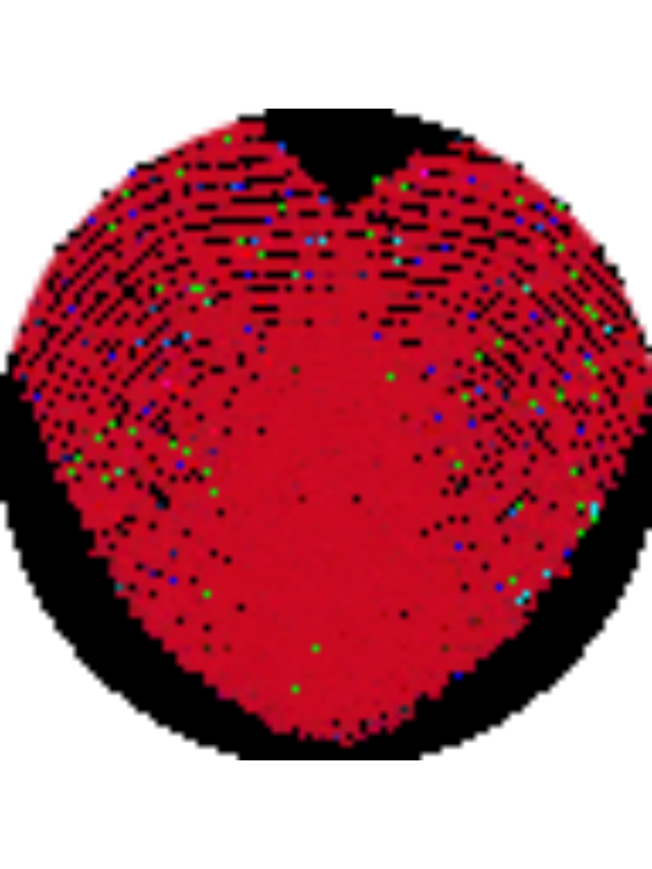 Photo of Imma Moschetti