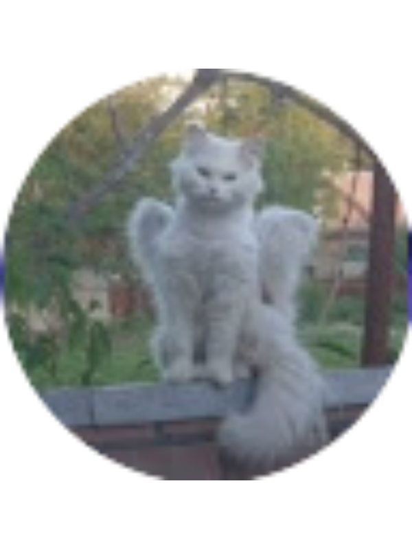 Photo of Luminița Chirilă