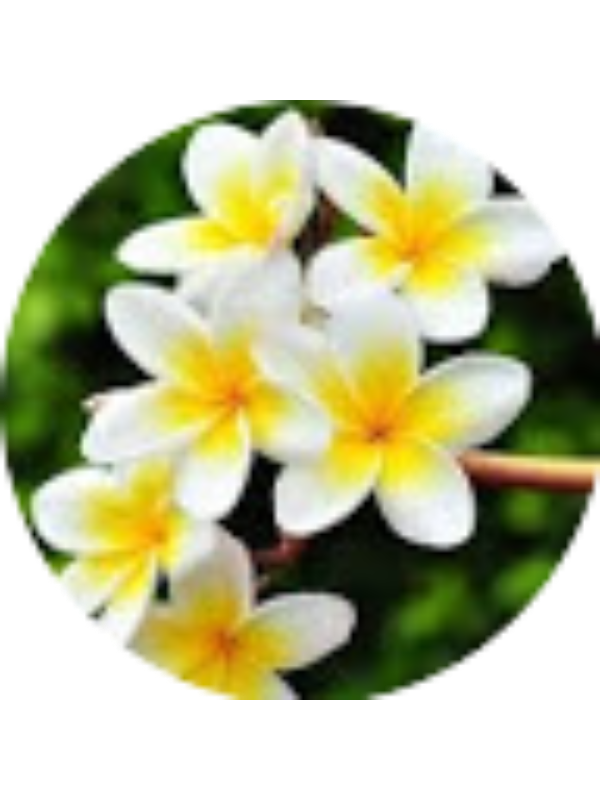 Photo of Autumn Blake